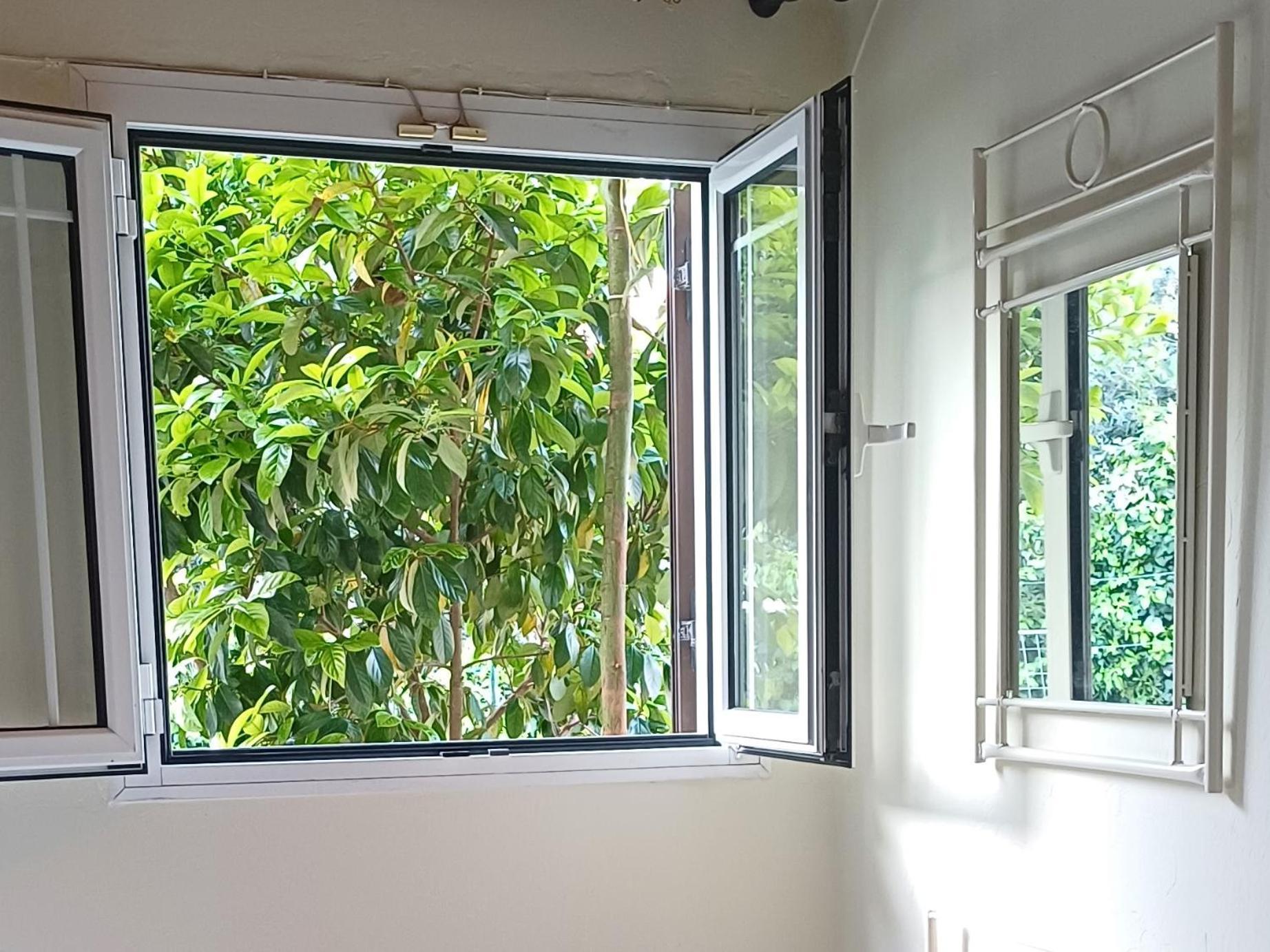 Elina Studios Benitses  Habitación foto